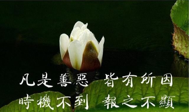 因果报应，丝毫不爽