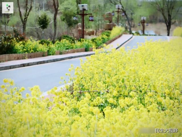  「复兴」映像旅发：春游复兴掠影