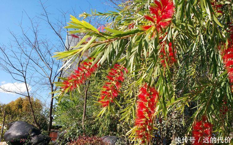 自驾游方便还是跟团游方便?