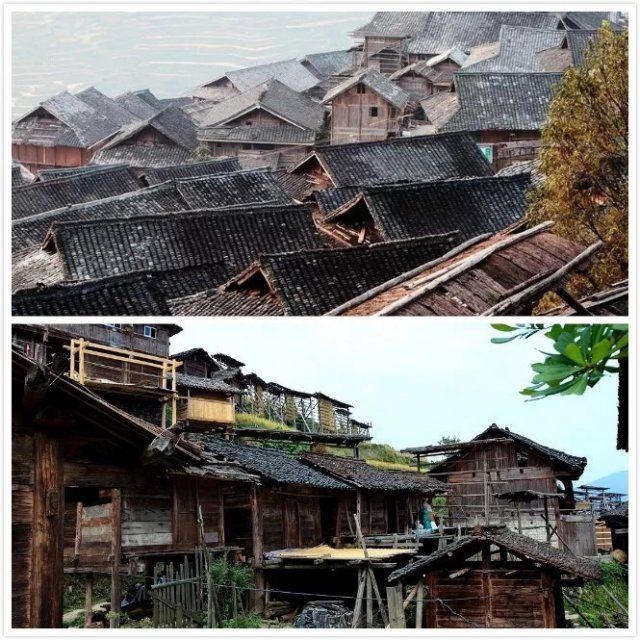 金秋贵州 这些田间地头要美哭了!