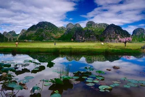 7万居民+425万游客 人性的贪婪即将毁了这世外桃源