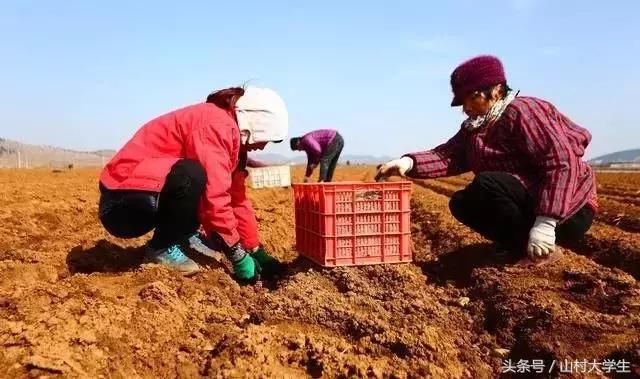 村民都抢着当村干部?村干部月工资标准出炉了!你觉得高还是低了