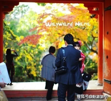  「祈福的灯笼」DAY2日本深度自由行之大阪都门奈良城崎旅行日记