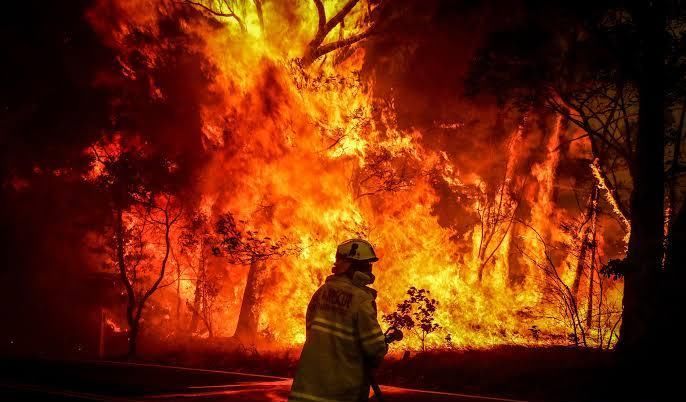 澳洲火灾会影响全球变暖吗