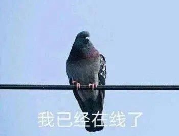  『高級』牛仔裤子落伍了!? 这20条牛仔裤子美丽更高級!