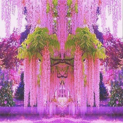 『舒适』去领导家喝茶，一进庭院就不想走了！瞧“小花园”，舒适又宜人