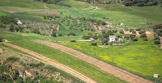 专家呼吁应允许城里人去农村买地建房子，大家怎么看？老农有话说