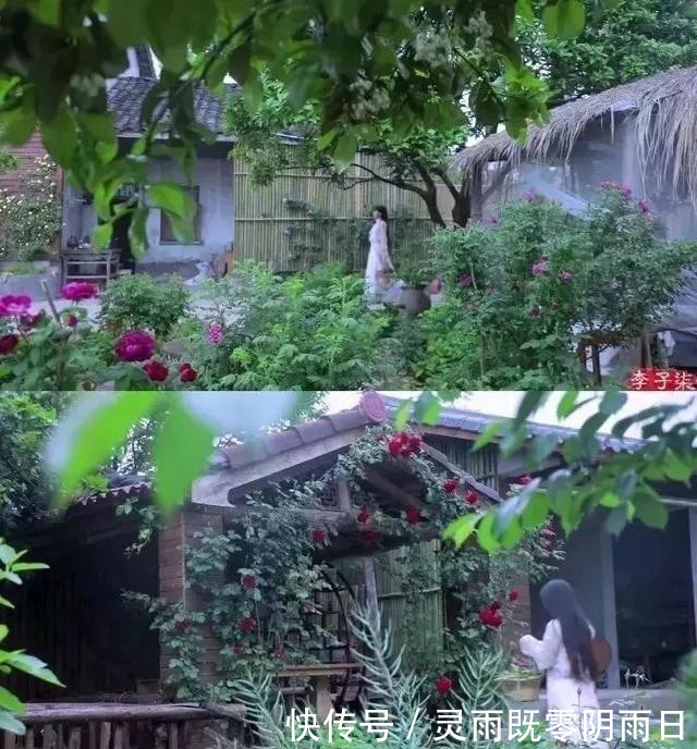 李子柒视频爆火背后的乡村振兴秘籍,你悟到了吗?