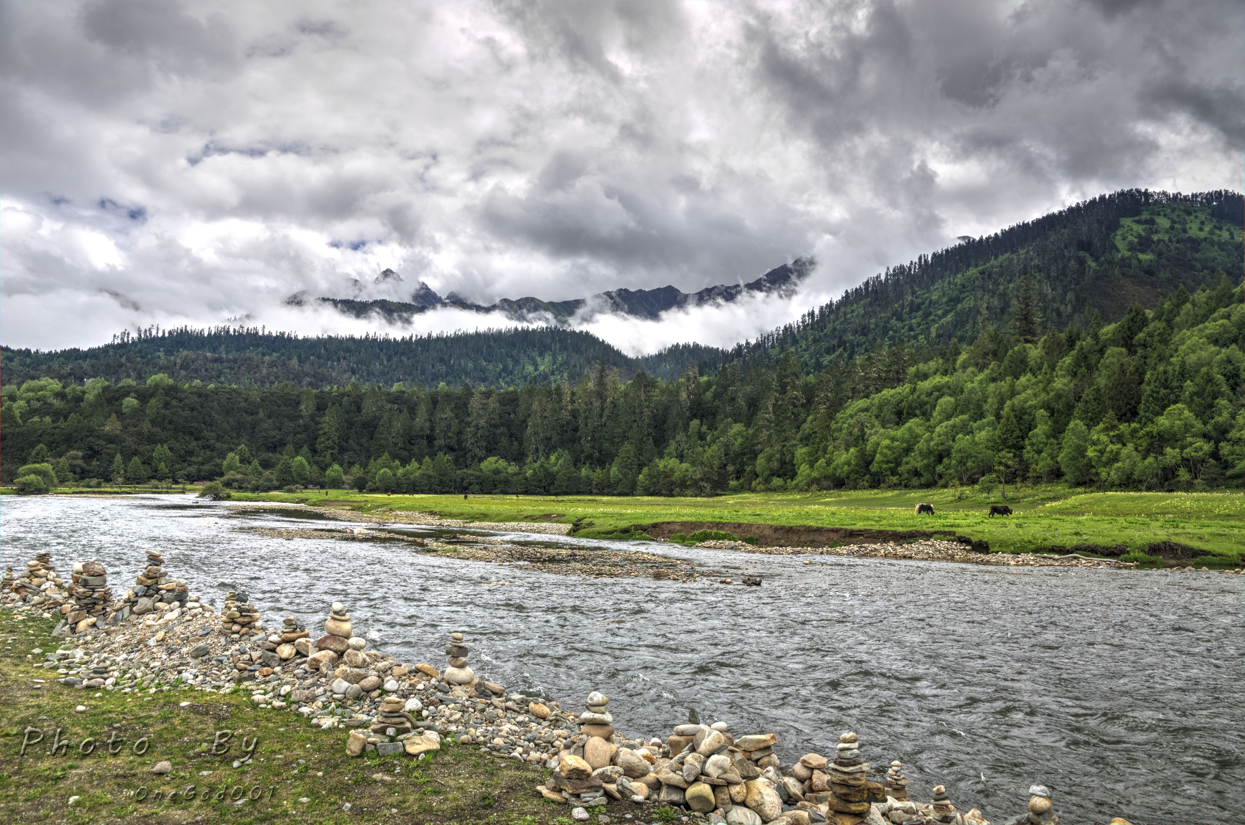 川进青出，十五天三省，318全线，冰川、湖泊、雪山探秘之旅。