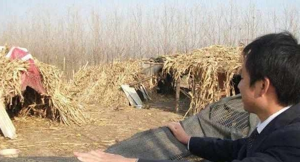 农村90后小伙不去打工，在山里搞养殖，一年收入40多万