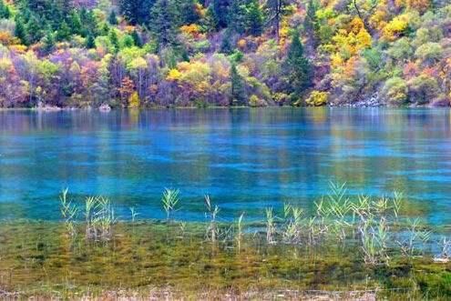 中国必去的九大漂亮小镇，我只去过那个最美的地方，你去过几个？