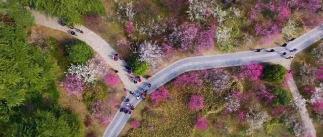 比成都安逸，比苏杭秀美，倦了就去小住几天