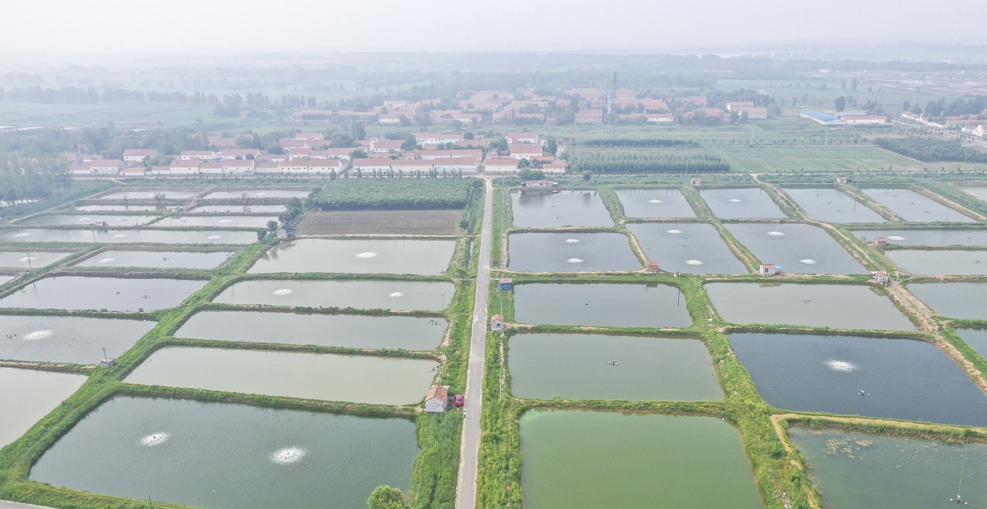 黄河岸边曾经的农村盐碱地，现在12000个虾池，农民们的梦想