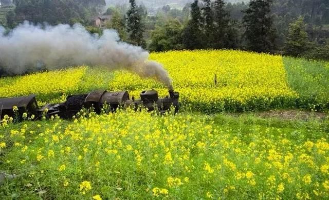 三月,去看中国最美春光