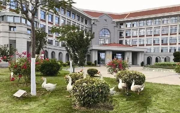  『大学校园』高校“神兽”出没,快来看看有没有你们学校
