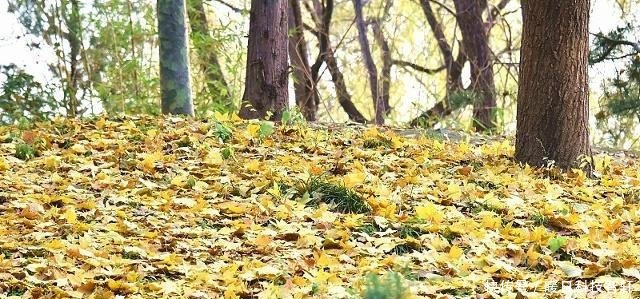 县委书记中层干部要“上位”，领导不考虑工作，却考虑三个因素