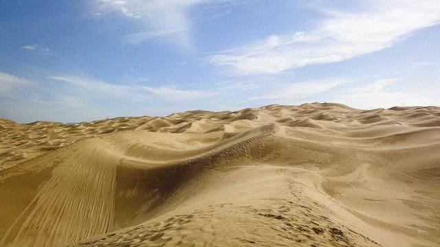 鄂尔多斯治沙人:17岁开始治沙,败给了生活,但他