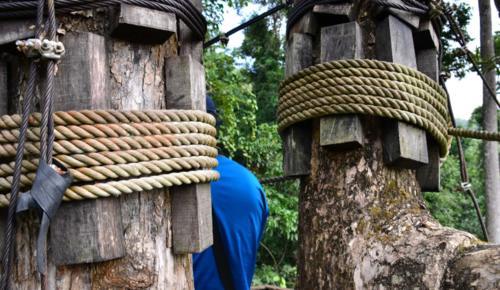 西双版纳望天树景区，有国内独一无二的树冠走廊，是一座天然的氧