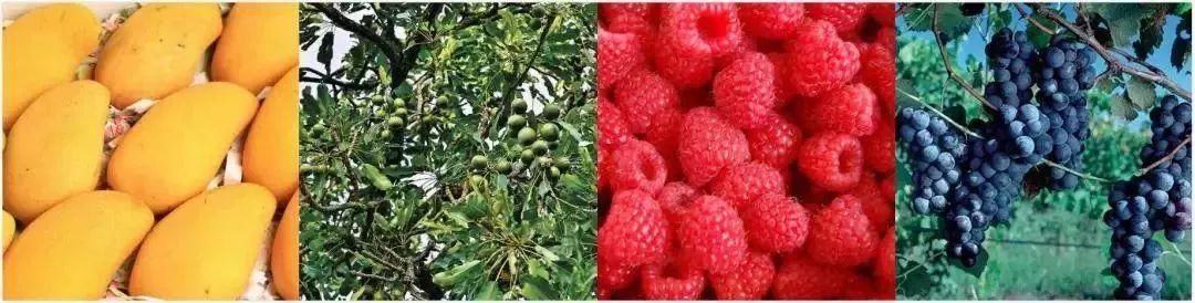 不到50块就能买到的唇釉，不输阿玛尼YSL美到你怀疑人生