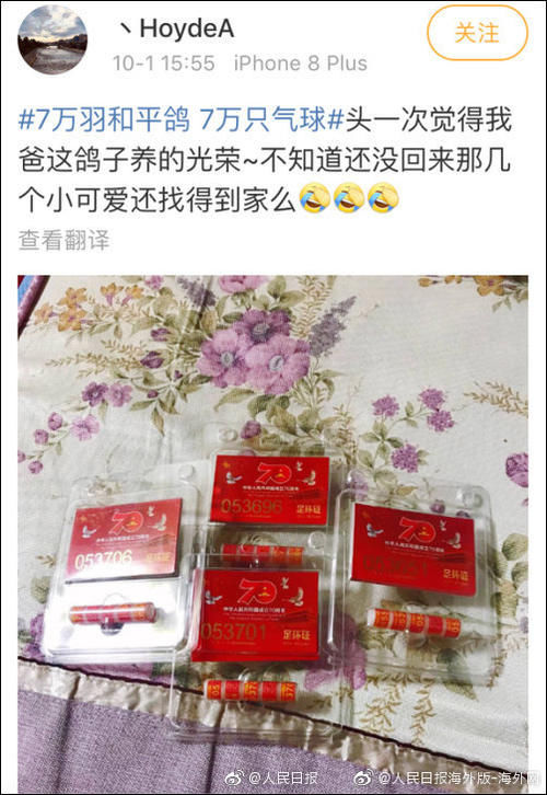  鸽子|国庆大会的7万和平鸽 原来是从市民家里借来的