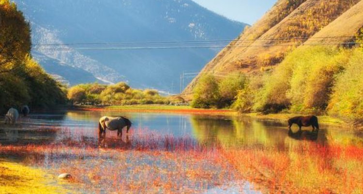 适合秋季旅游地方，景美人少，你知道这些地方吗？