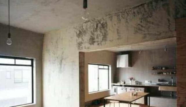 小区:小区一邻居买房后不装修直接入住, 却引来大家赞赏, 太机智了