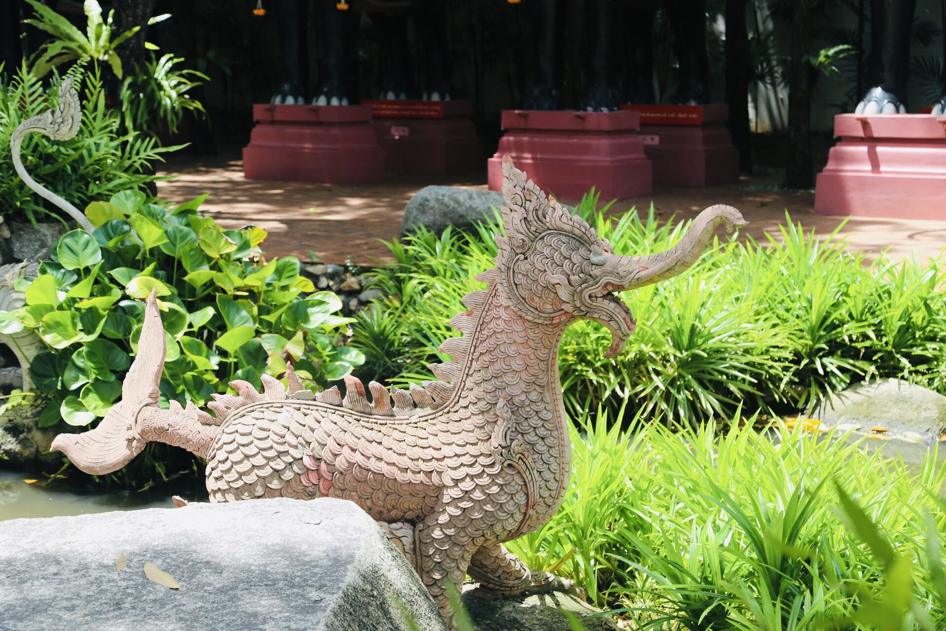 “泰”美丽！长腿小姐姐带你领略不一样的泰国