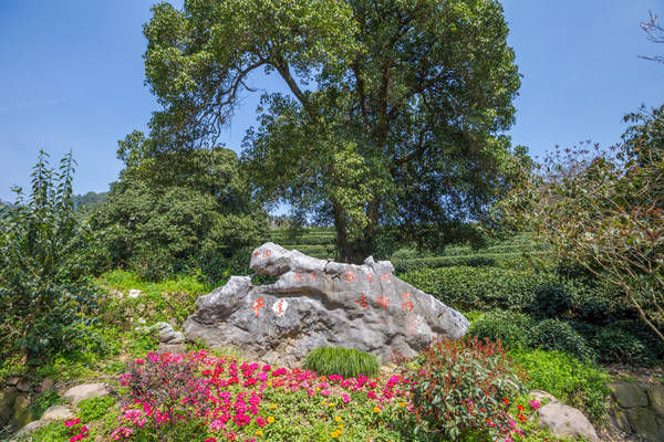 西湖最冷门的旅游路线，人少景美，一般人都不知道