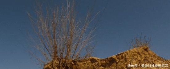 世界第一个马上被“消灭”的沙漠，大部分已成绿洲，都快改名森林