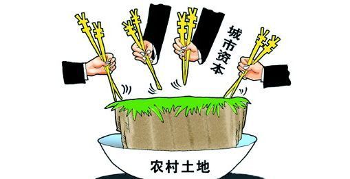  三权分置@未来10年，农村土地最终会落到谁手里？值得所有农村人