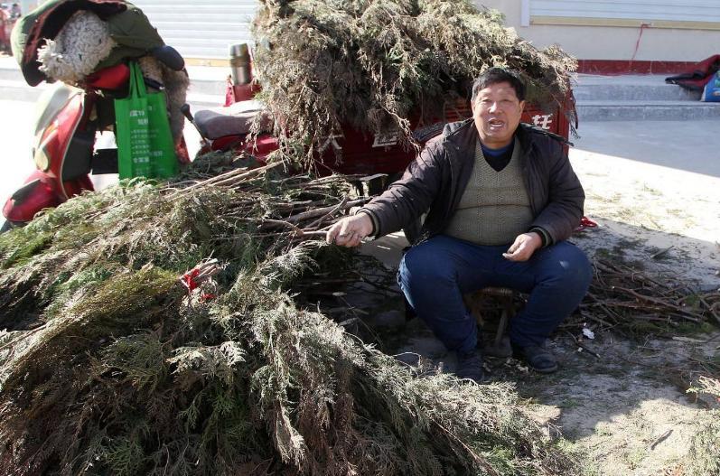 俗语：“白虎盖青龙，代代有人穷”，古人盖房子的讲究，合理吗？