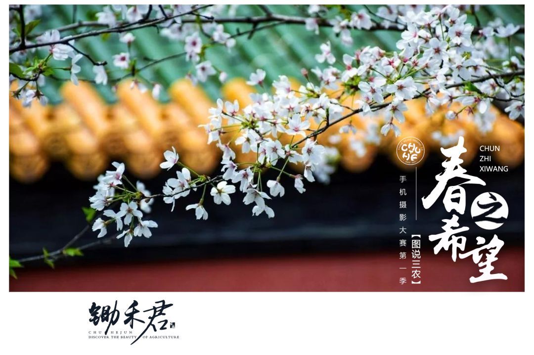 中国农业存在这九大难题，请务必用心阅读以防踏入雷区！