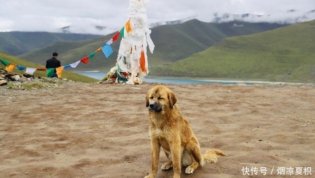 大连西藏新疆自驾游第13天：拉萨—日喀则 羊湖攻略