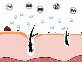 你沐浴后的味道,根本让人把持不住!留香24小时,比喷了大牌香水