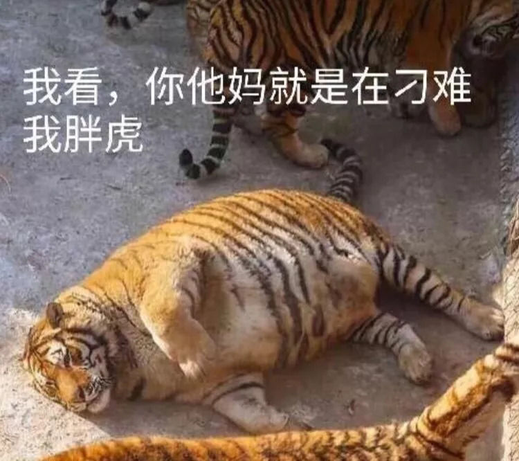 实力称霸!九月6双AJ1齐发!