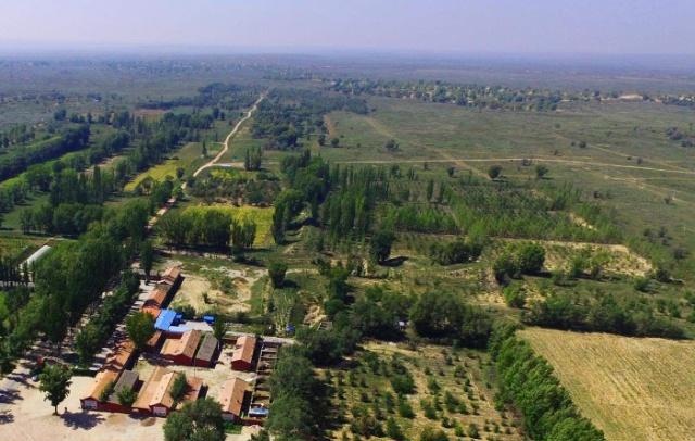 我国大力治沙几十年，绿洲面积变大了吗？事实令人难以置信