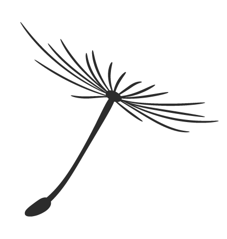 今日入中伏 降雨仍持续！汉中多地暴雨导致道路中断 桥梁冲毁 居