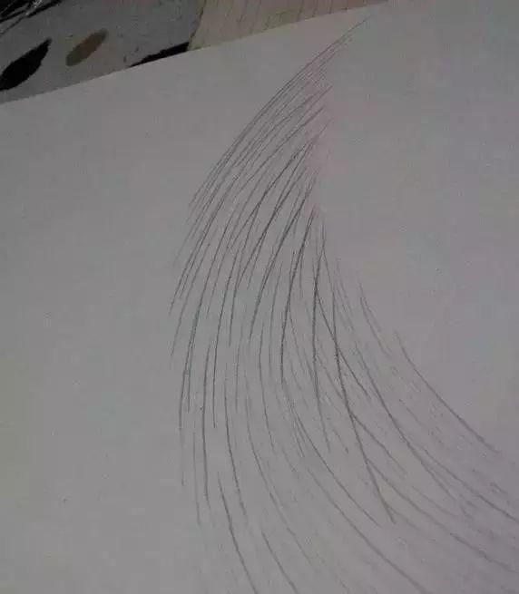 零基础素描入门，素描眉毛的画的画法!