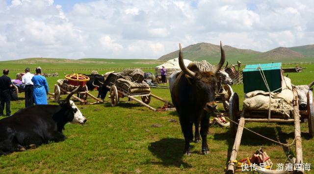 到蒙古国旅游时,这2件事不要做,否则可能会被挨打!