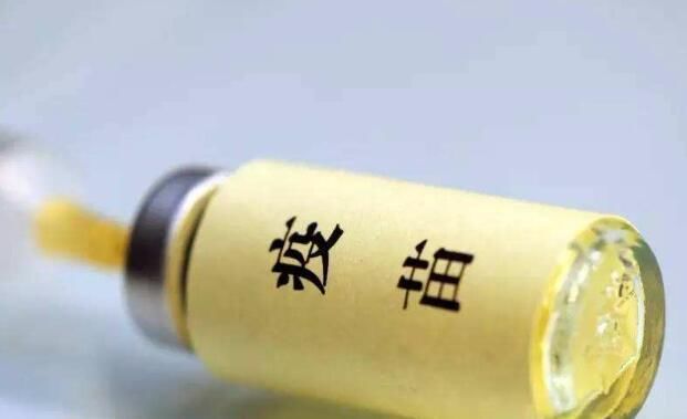 毒疫苗事件,谢娜、黄晓明、黄磊等人惹怒了,为人父母不容易