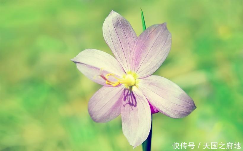  「示爱」喜欢用温馨小细节示爱的四大星座
