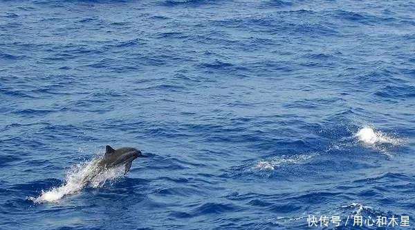 西沙群岛 坐落在中国那片最美的海上