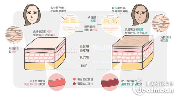 这些地方黑怎么办?私密处，腋下，膝盖etc.