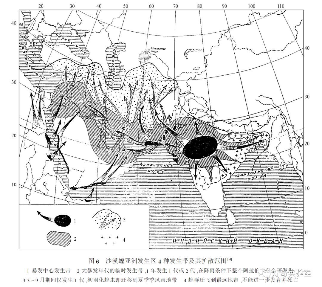  逼近@千亿蝗虫逼近中国边境，但你的辣椒和孜然可能白准备了