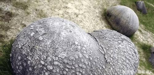 世界最“古怪”石头, 遇水会变大, 专家至今未解, 游客看了都赞叹