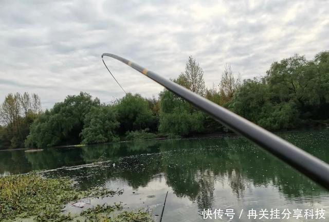  [水面]小水面钓短，大水面钓长？未必，有时候打破常规反能提升渔获