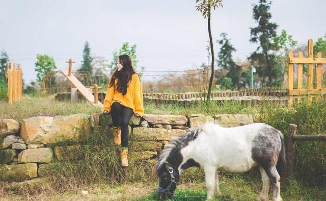 如今在农村，你要是会干、能干一定是大有前程的！干什么赚钱呢？