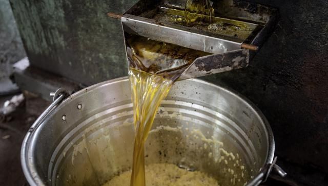  【菜籽渣】在农村，榨油坊榨油不要钱，用油渣抵扣加工费，榨油