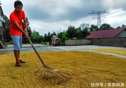  [老人]俗语“名堂如播米，子孙穷到底”是啥意思？老人的话还是要听