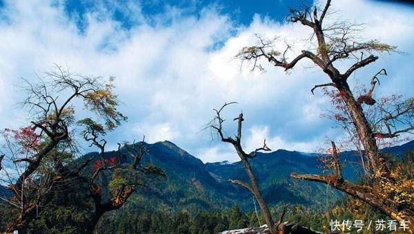 不可思议！中国这个地方藏着比新疆还美的秋色，国庆竟少有人去